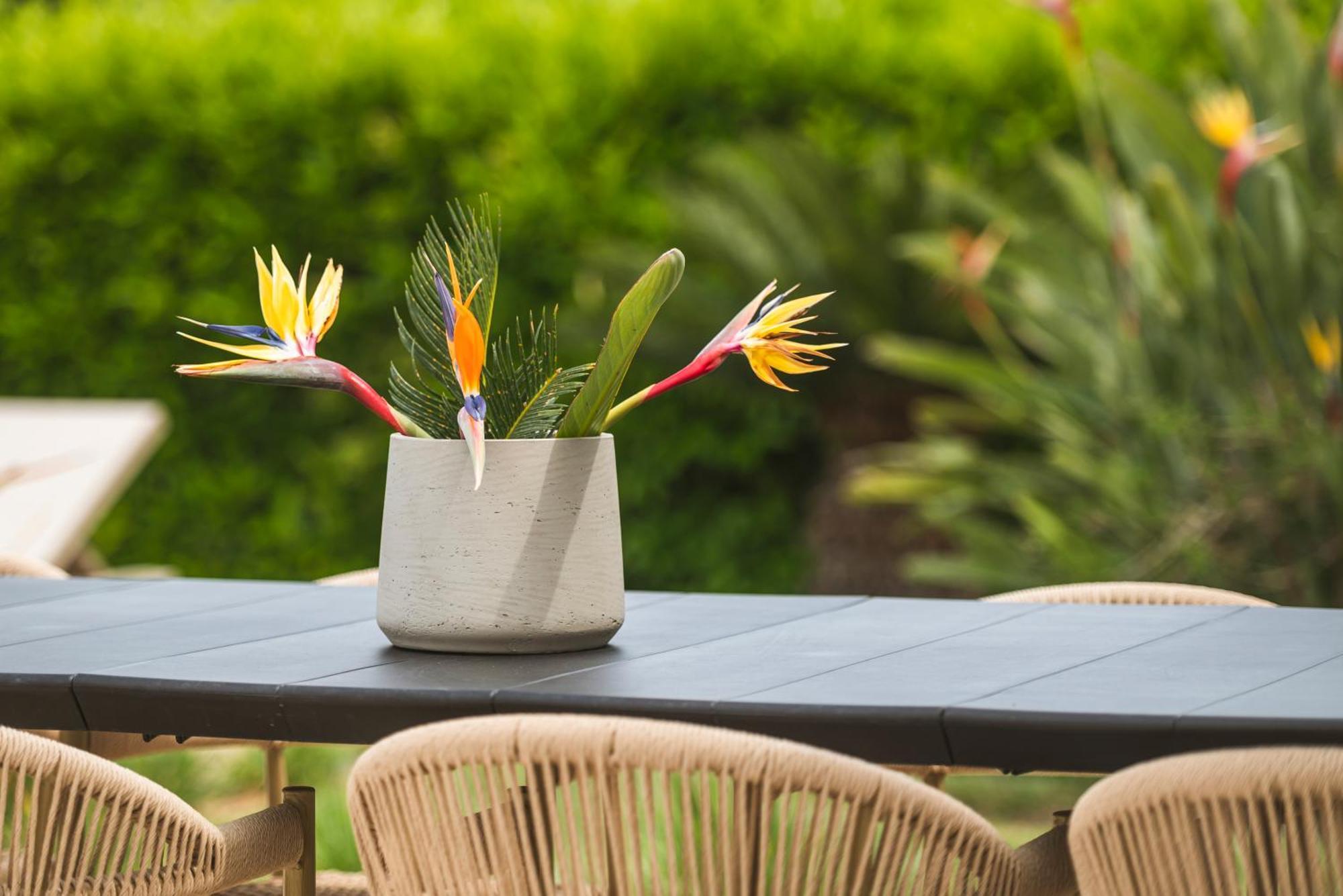 Phillyrea Luxury Villas Kos Bagian luar foto